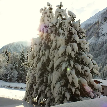 Marina Affittacamere Tux